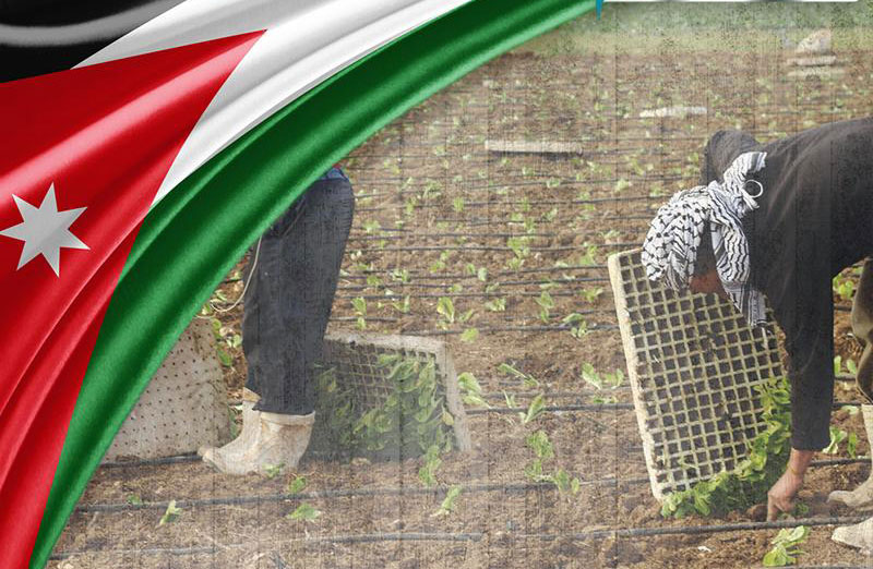 الأزمة الخليجية تشلّ القطاع الزراعي الأردني