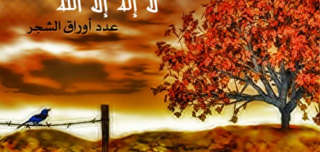 عبارات دينية قصيرة