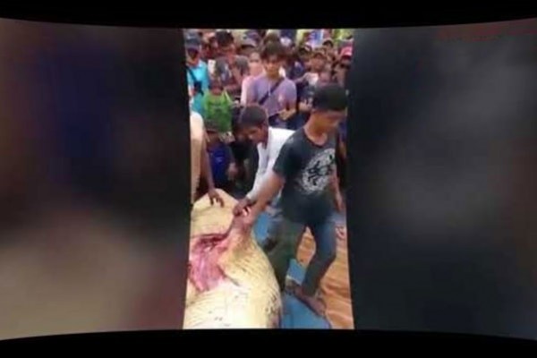 مروع .. استخراج جثة صياد من