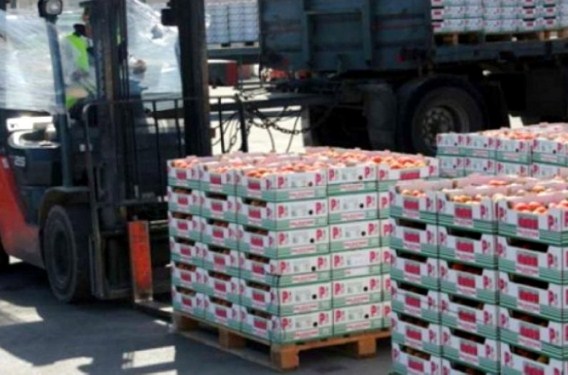 صادراتنا الزراعية 800 مليون دينار