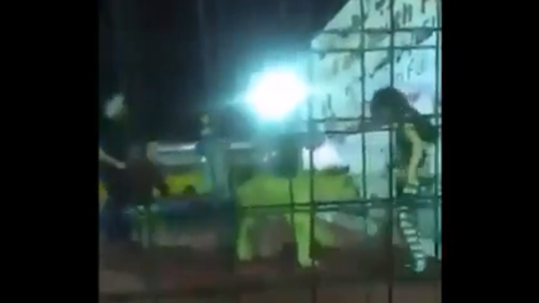 السعودية.. أسد يخرج عن السيطرة وينقض