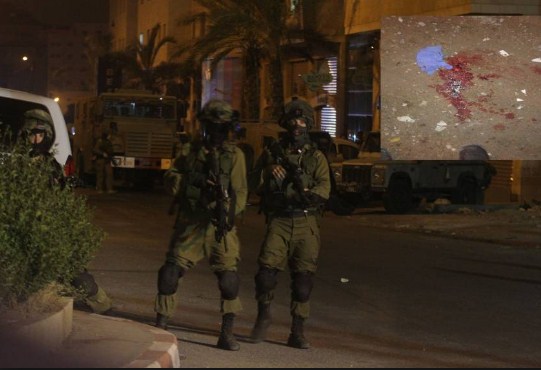 تقرير: الاحتلال اعتقل 1319 فلسطينيا خلال