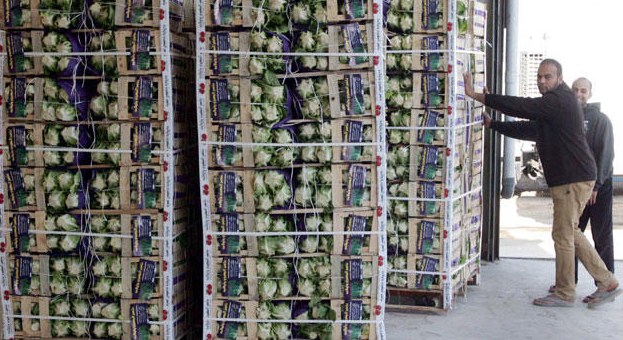 «الزراعة» : الصادرات للأسواق الخليجية وصلت