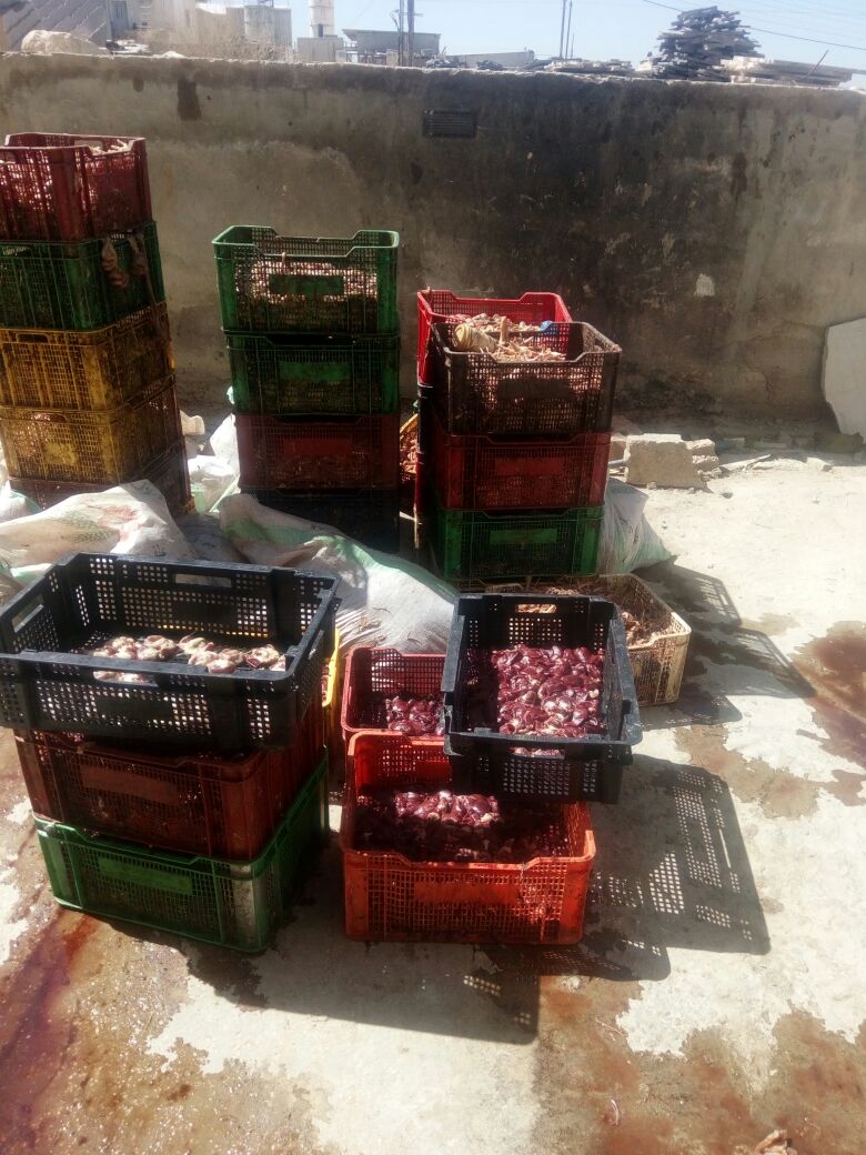 ضبط 4 مصانع تعمل بدون ترخيص