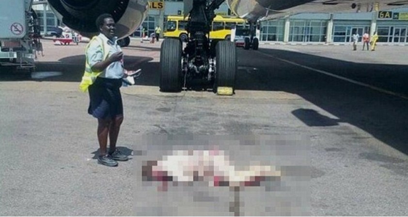 شاهد مضيفة في «الإماراتية» تقفز من