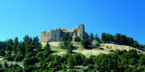 عجلون : مطالبات بتعزيز الاستثمار بالقطاع