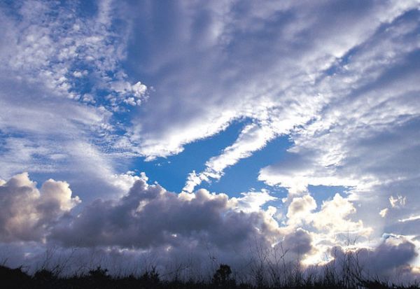 فقط في الصين.. الحكومة تخطط للتحكم