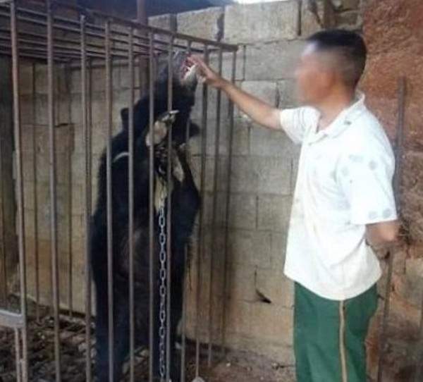 ظنّ أنّه يربّي كلبا .. إلى