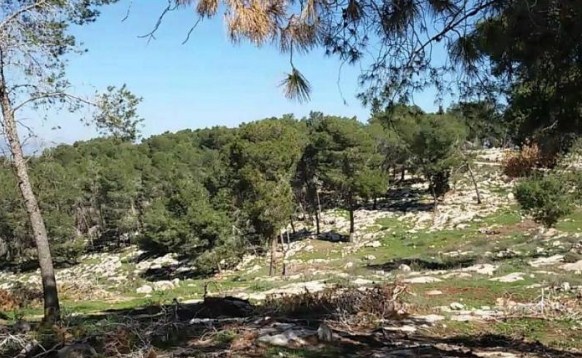 «الزراعة» : لا اعتداءات على الأراضي