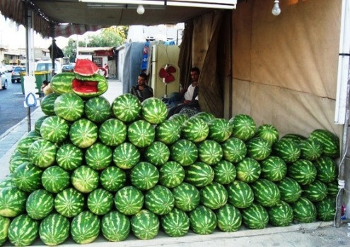 الأمانة تستقبل طلبات الحصول على تصاريح