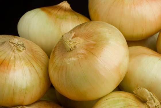 انخفاض حاد في أسعار الخضروات