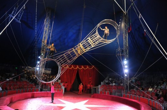 وفاة لاعب «سيرك» أثناء عرض بلهواني