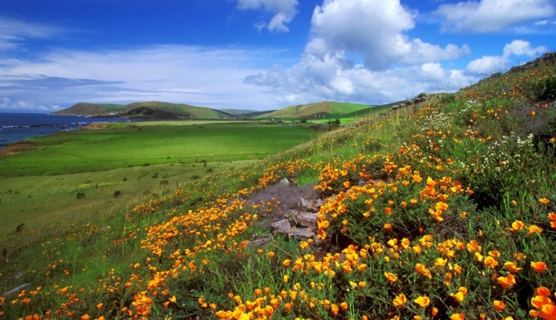 أجواء ربيعية دافئة حتى الخميس