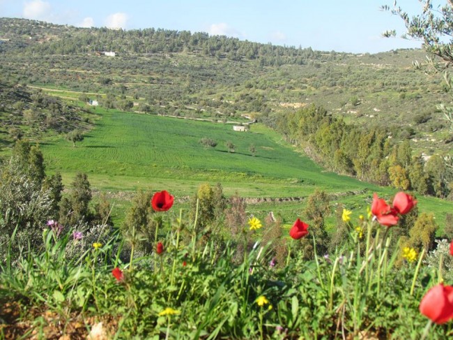 ارتفاع على درجات الحرارة.. وغبار خفيف