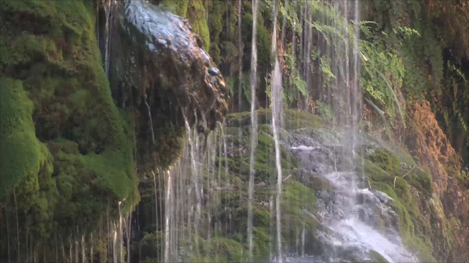 انقاذ اسرة تاهت بواد المشلشلة بالطفيلة