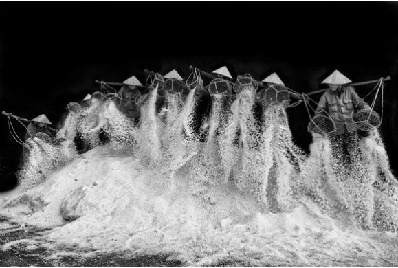 الصور المرشحة للفوز في مسابقة «سميثسونيان»