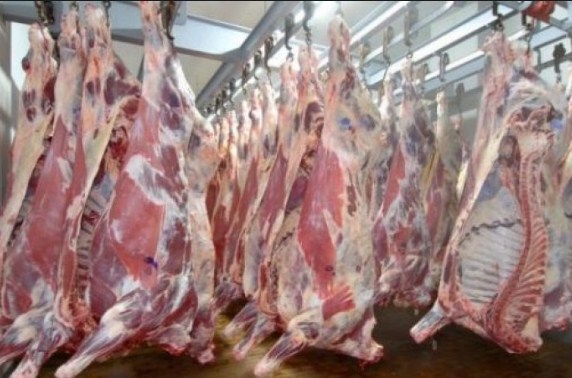 70% من الذبائح تذبح خارج المسالخ