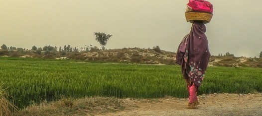 الشرطة الباكستانية: أمّ تخنق أطفالها بسبب