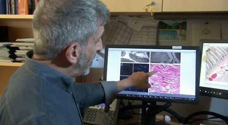 اكتشاف عضو جديد في جسم الإنسان