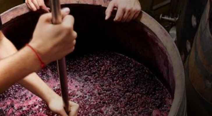 فرنسا.. شهادة جامعية في تذوق النبيذ