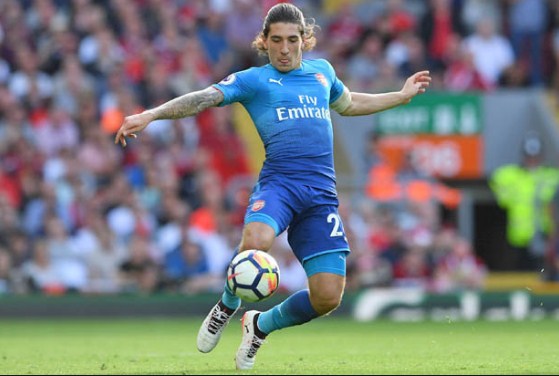 النظام الغذائي الجديد يزيد بيليرين نشاطا