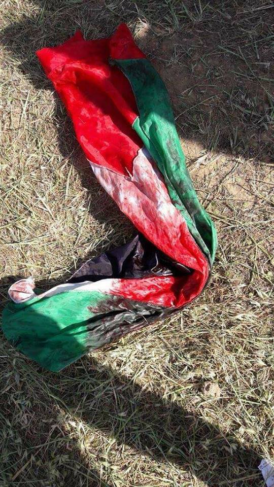 الزعبي يكتب: راية تضمخت بالدم لا