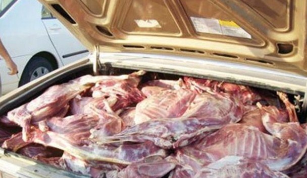 اتلاف 30 كيلوغراما من اللحوم الفاسدة