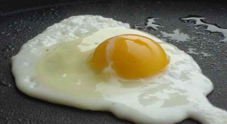 الأردنيون يستهلكون مليار بيضة سنويا