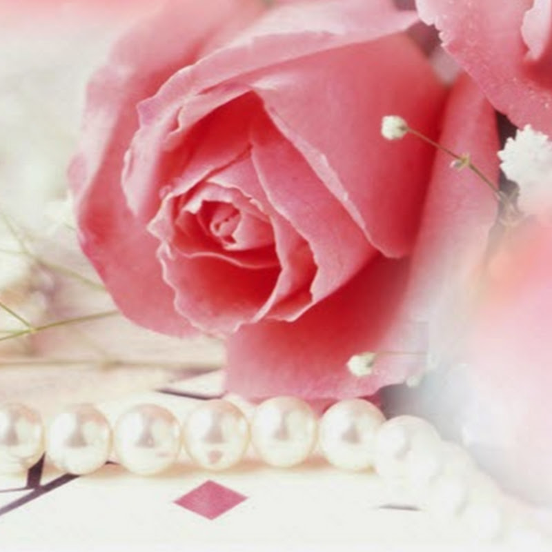 الدكتور وائل أبو حسان يرزق بـ