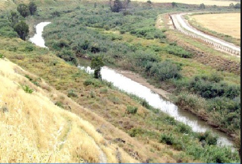 نواب يطلبون مناقشة السيادة الاردنية على