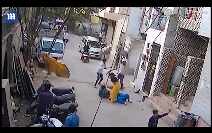 بالفيديو.. . كلب شرس ينقض على