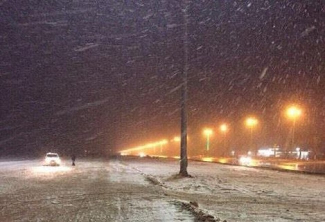 عجلون تشهد تساقطا كثيفا للثلوج