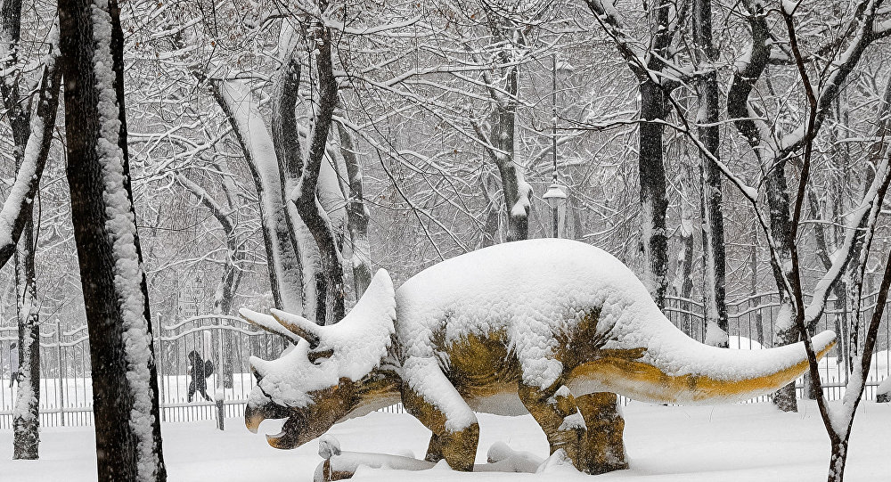 العثور على آثار أضخم حيوان في