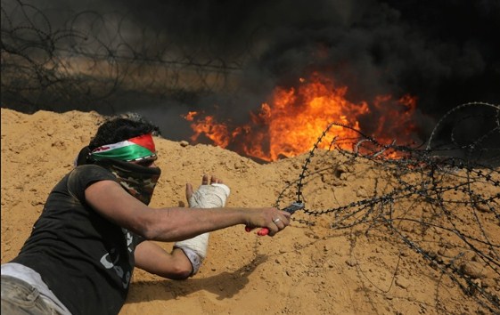 29 شهيدا برصاص الاحتلال خلال ثمانية