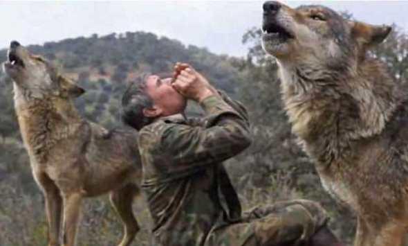 ماوكلي يظهر في إسبانيا