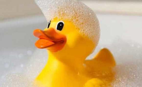 تحذير من البطة المطاطية