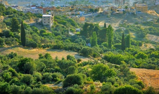 المملكة في انتظار أسبوع ربيعي دافئ