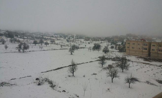 عجلون.. إخلاء 30 شخصا حاصرتهم الثلوج