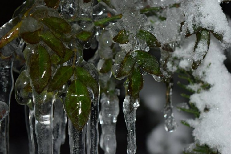 طقس الاحد: تشكل الانجماد صباحا ..