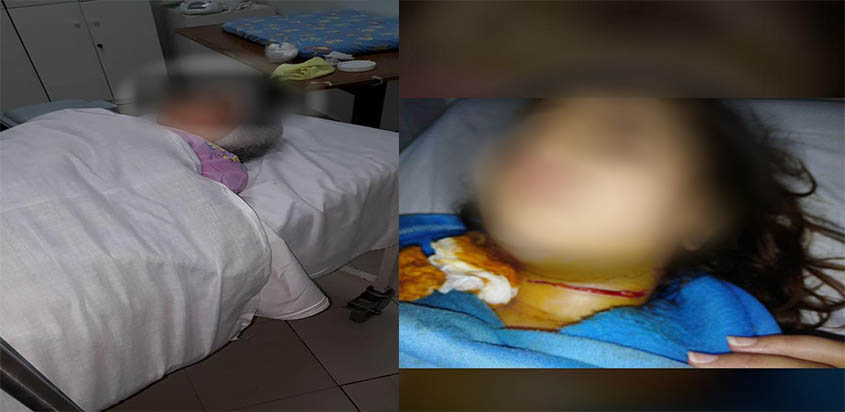 جريمة مروعة تهز لبنان.. أم تذبح