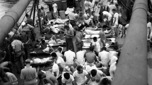 مأساة في البحر.. يوم التهمت أسماك