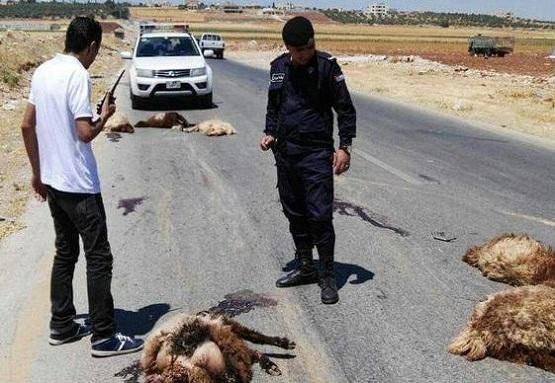 وفاة شخصين ونفوق 15 رأس من