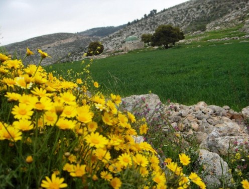 طقس دافئ اليوم