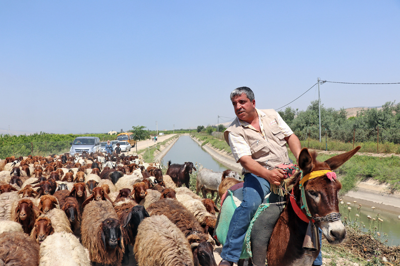 القرالة.. صانع الفرح.. مبدع الأمل