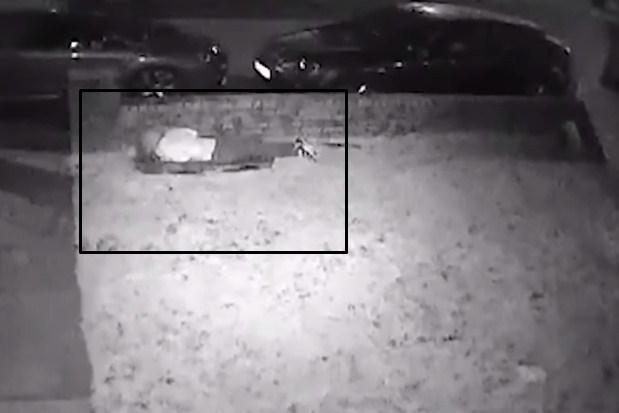 كيف نجت هذه الفتاة من عصابة