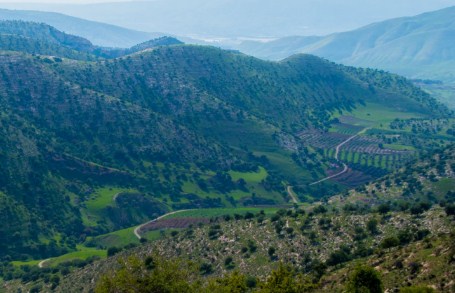 الأردن يستقطب 18 ألف سائح إماراتي