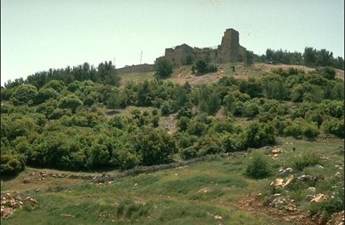 عجلون: الامطار الاخيرة ستساهم في تحسين
