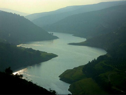 تقرير دولي يحذر من توسع أزمة