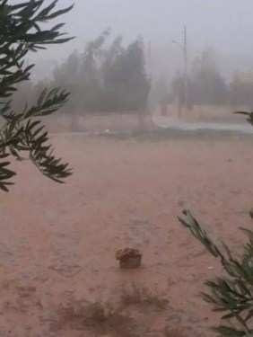 الاغوار الشمالية : معونات لأصحاب المنازل