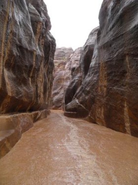 إعادة تأهيل المسار الرئيسي في البترا